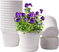 6 Inch Plastic Plant Pots with Drainage Holes and Trays (15 Pcs) | Cream white finish suits orchids, succulents, herbs and houseplants for windowsills, balconies, shelves, kitchens or offices.