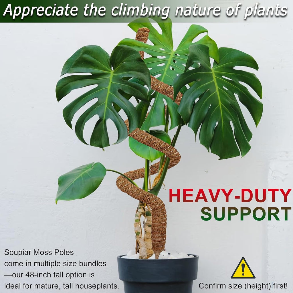 2 pack 48'' bendable moss pole for climbing plants - tall handmade coco coir plant support stakes for large climbing indoor plants, potted houseplant trellis accessories - view 3