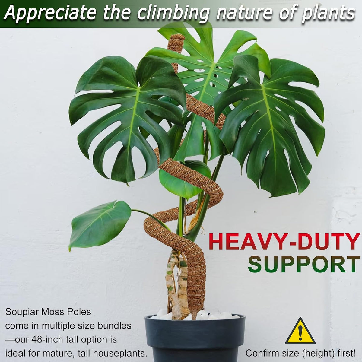 2 pack 48'' bendable moss pole for climbing plants - tall handmade coco coir plant support stakes for large climbing indoor plants, potted houseplant trellis accessories - view 3