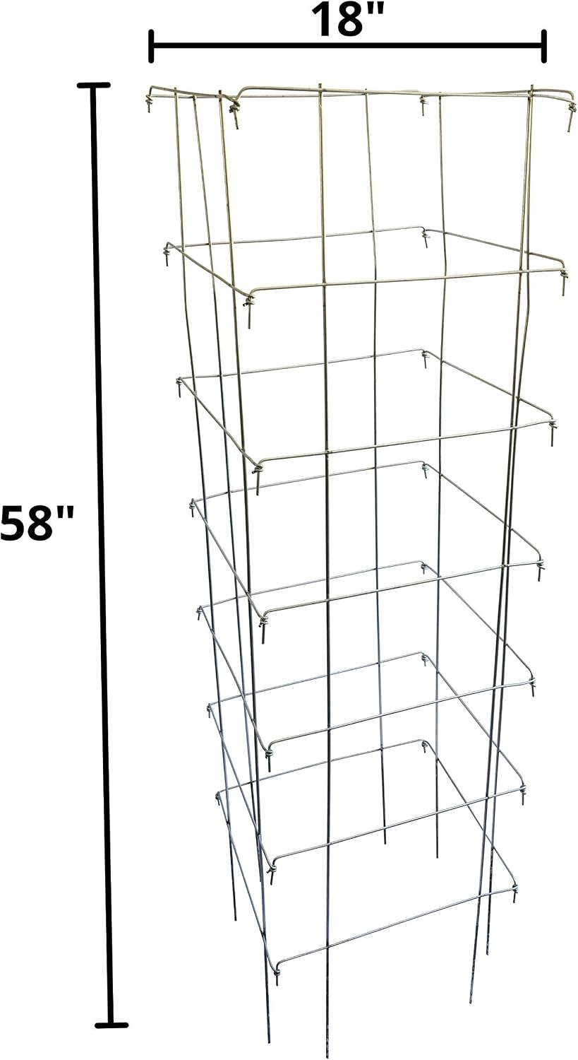 Happy Trees Large Heavy Duty Folding Tomato Cages, 3-Pack, Made in USA | Support Trellis for Climbing Vegetables and Plants, 18" x 18" x 58", Thick Gauge Galvanized Steel, Collapsible Easy Storage - view 2