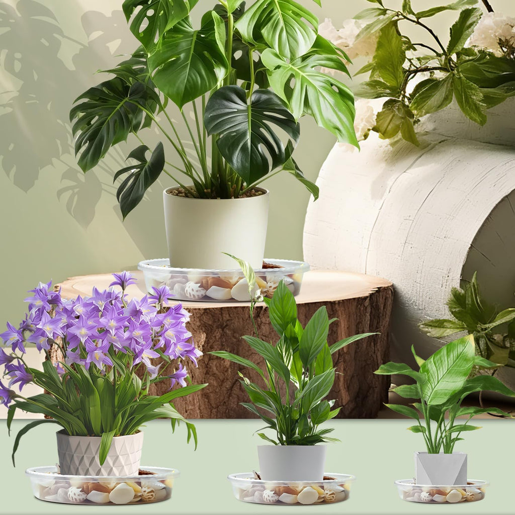 9 Pack Plant Saucers (6inch /8inch /10inch), Heavy Sturdy Plant Trays Pot Tray for Indoor Clear Plastic Flower Pot Saucers Thicker Plant Water Drip Trays for pots- Clear - view 6