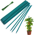 Garden Wood Plant Stakes Green Bamboo Sticks, Sturdy Floral Plant Support Stakes Wooden,Wooden Sign Posting Garden Sticks(25 Pack 18 Inches) | Sturdy Garden Stakes for Plants, Floral Plant Support Stakes, Bamboo Sticks for Plants,Potted Plant