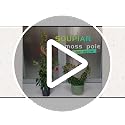 2 Pack 60'' Bendable Moss Pole for Monstera & Pothos - Tall Handmade Coco Coir Plant Support Stakes for Large Climbing Indoor Plants, Potted Houseplant Trellis Accessories - view 7