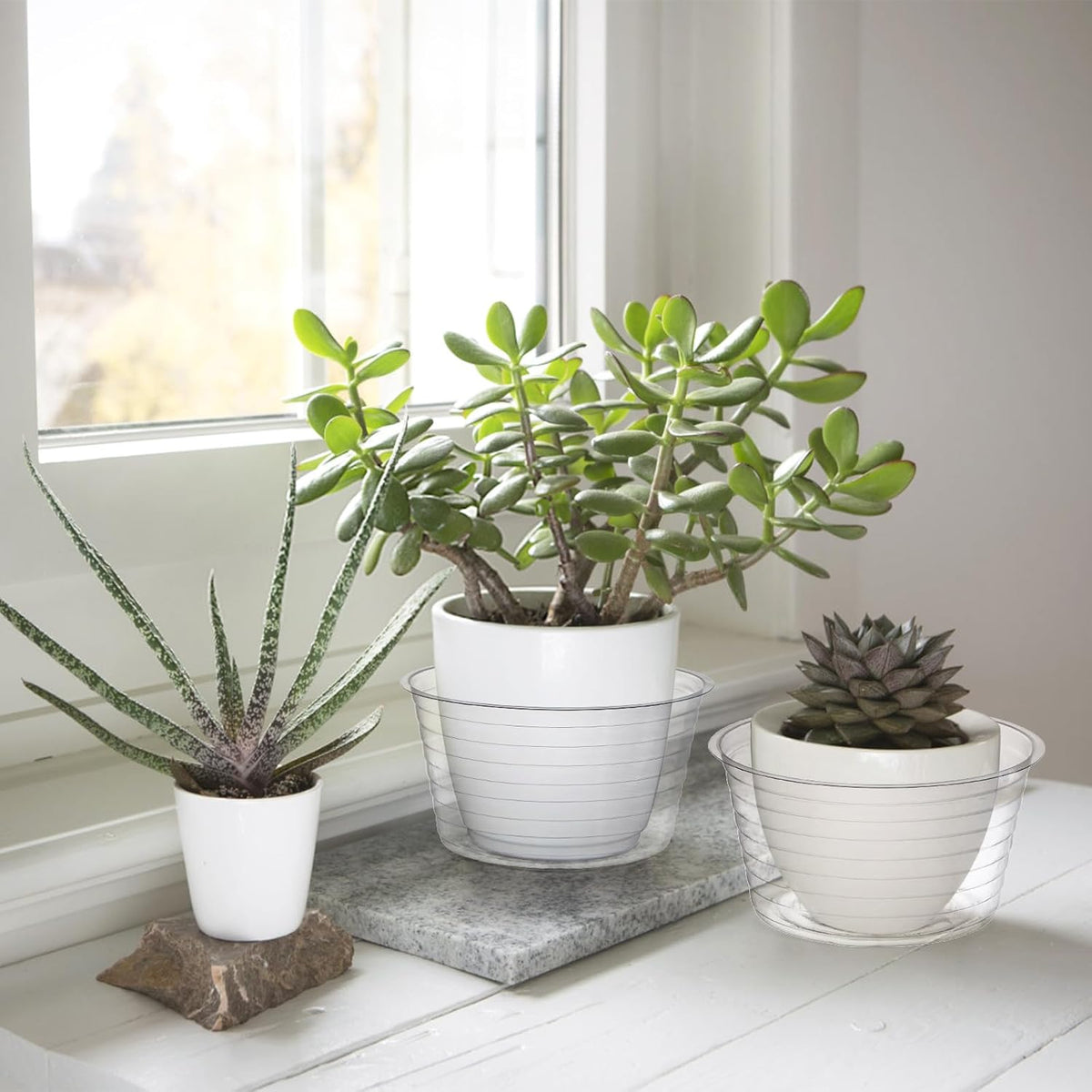 50 Pack Clear Plastic Plant Saucer Drip Tray for Pots, 6 Inch Deep Flower Pot Saucers Water Catcher Tray Watering Trays for Plants Indoors and Outdoor - view 6