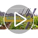 25pcs 1/2" D Thicker Heavy Duty Bamboo Stakes, 4FT Plant Stakes, Natural Garden Stakes for Tomato, Bean, Flowers,Trees Potted and Climbing Plant Support - view 7