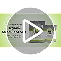 Succulent & Cactus Soil, 4 qt, Organic Potting Mix - view 7