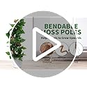 2 Pack Moss Pole for Monstera, Bendable 29" Coco Coir Plant Support with Rustproof Aluminum Core, Plant Support Stakes for Climbing Indoor Plants, Pothos, Philodendron - view 7