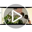32in Monstera Plant Support Trellis for Indoor Plants, 4P - view 7