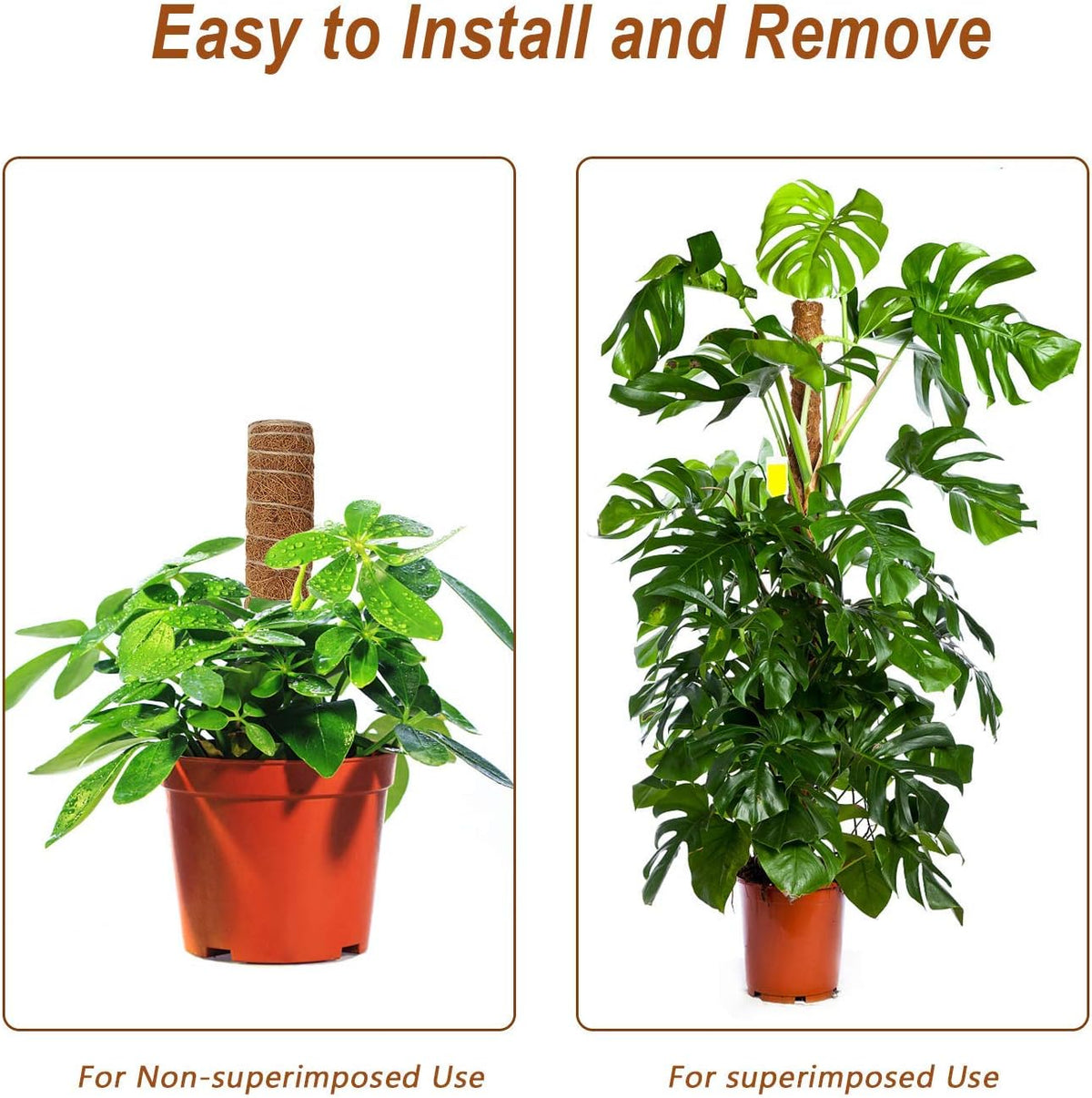 Moss Pole, 27 Inch Moss Poles - 2Pcs 17 Inch Plant Stakes Moss Sticks for Monstera Indoor Creepers Plant Support Extension Climbing Plants - view 6