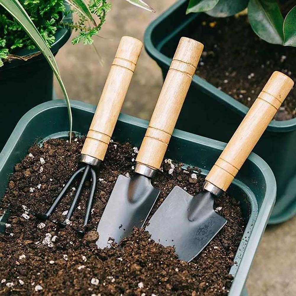 Gardening tool set (6 pcs) spade shovel rake for garden plants care house plants flower pot cactus vegetables kids indoor small plants mini medium plant tool succulent kit - view 4