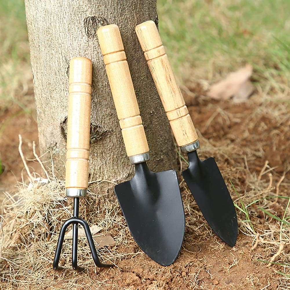 Gardening tool set (6 pcs) spade shovel rake for garden plants care house plants flower pot cactus vegetables kids indoor small plants mini medium plant tool succulent kit - view 6