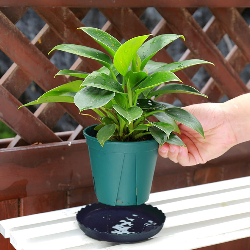 12pcs plant saucer, 6 8 10 inch durable plastic plant tray, black round plant pot saucers, drip tray for indoor and outdoor garden - view 4