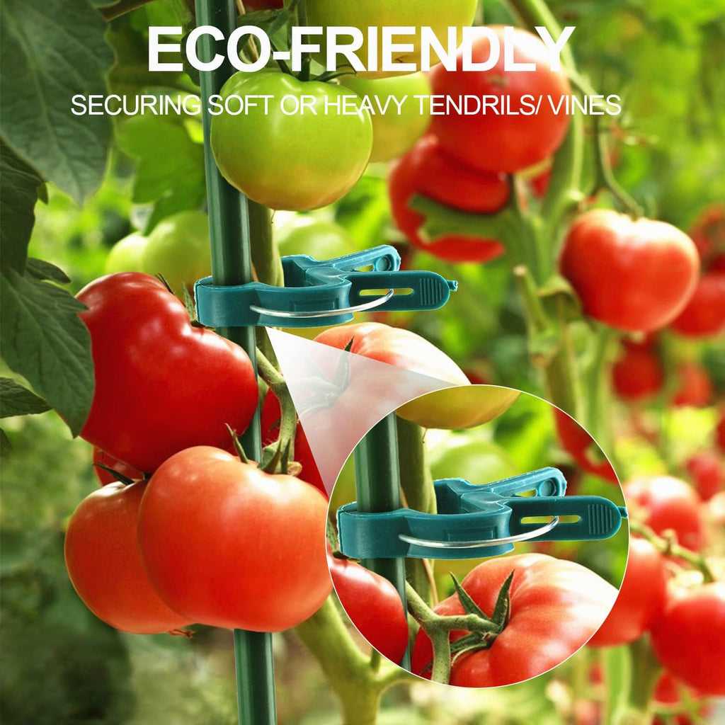 40 Pcs Plant Support Clips,Tomato Plant Clips 2 Sizes in one Pack | Flower and Vine,Garden clips for Supporting Stems,Vines Grow Upright Climbing,Tool for Straightening,Tomato Cage,Trellis. - view 6