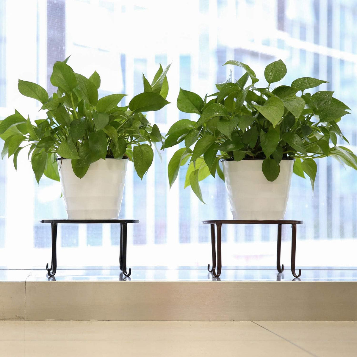 3 Pack Potted Plant Stand | Rustproof Round Flowerpot Plant Holder Container Durable Metal Garden Plant Support for Indoor Outdoor, Black - view 5