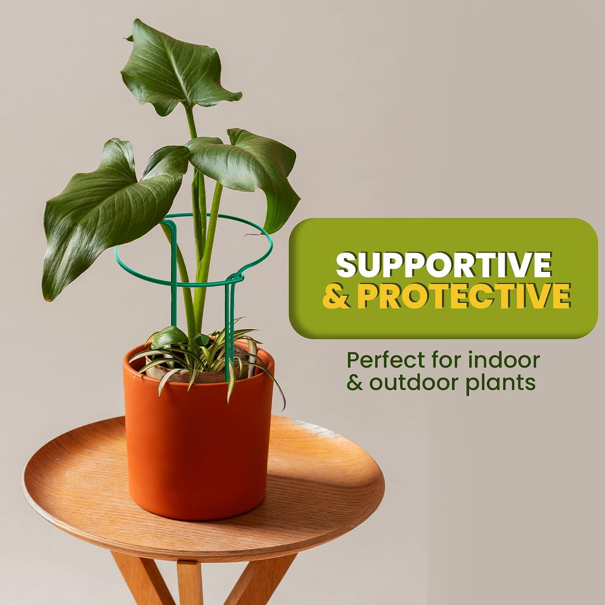 6 Pack Plant Support Stakes – Tall Plant Stakes for Indoor and Outdoor Gardens - Peony Cages and Supports - Cage Rings for Potted Flowers, Peony, Hydrangea, and Rose Bush (10" W x 16" - 24" H) - view 7