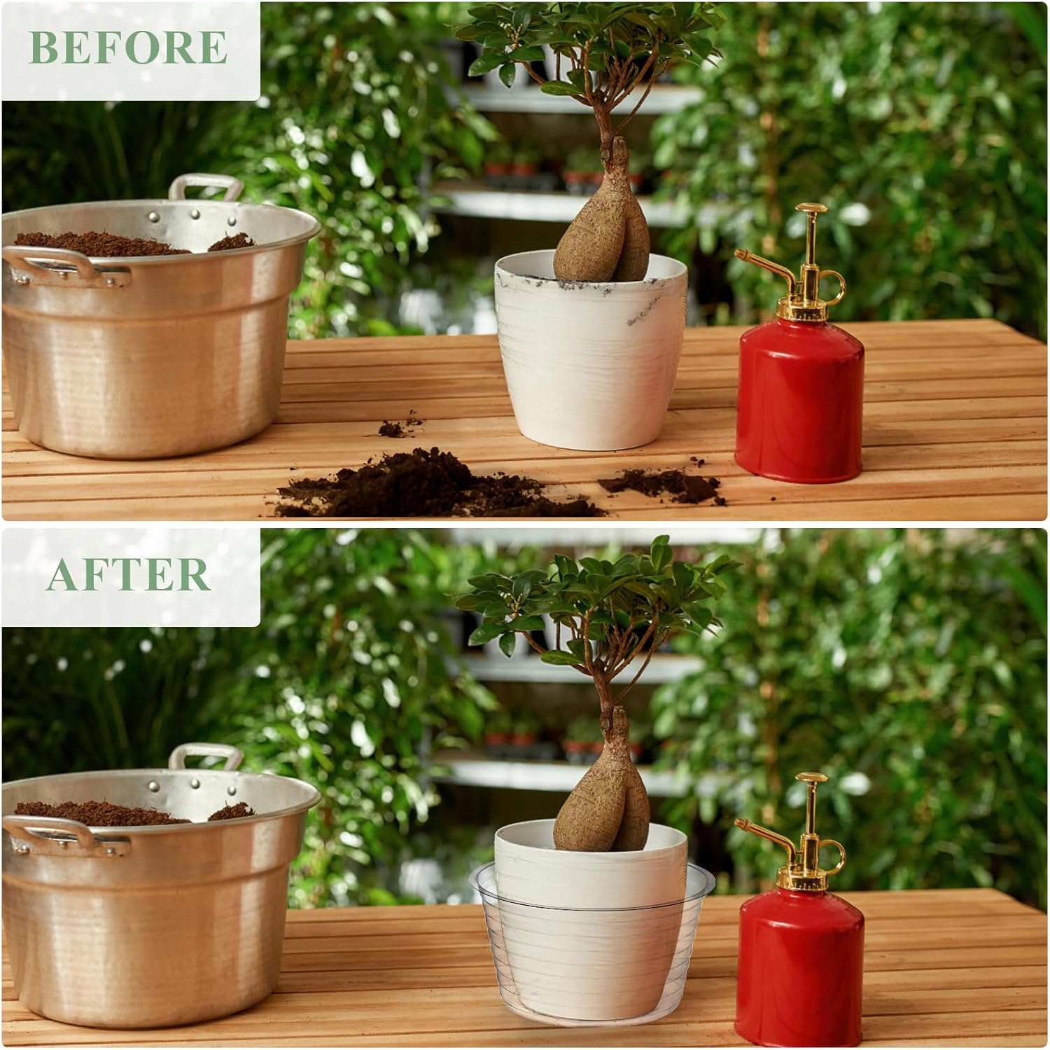 50 Pack Clear Plastic Plant Saucer Drip Tray for Pots, 6 Inch Deep Flower Pot Saucers Water Catcher Tray Watering Trays for Plants Indoors and Outdoor - view 4