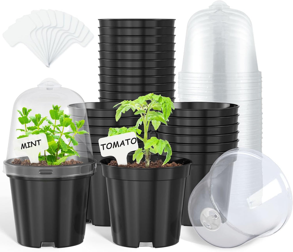 3/4/5 Inch Clear Nursery Pots with Drainage and 20 Labels (30 Pcs) | Transparent PP seedling planters reveal root growth and suit seed starting, cuttings, transplanting, flowers and vegetables. - view 6