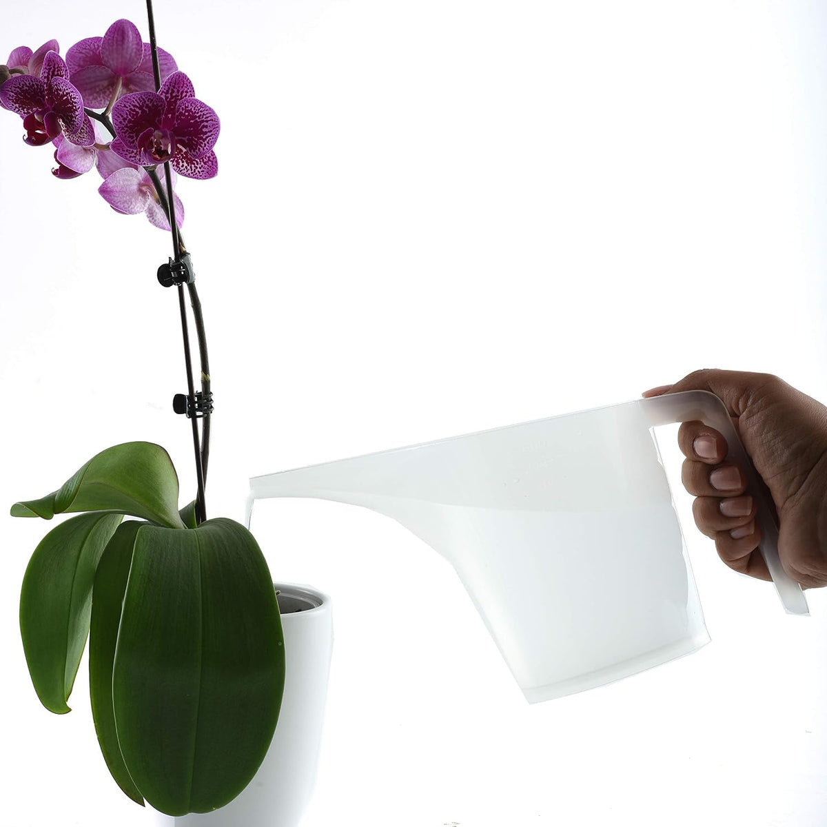 Funnel Pitcher, 3.5-Cup,White - view 4