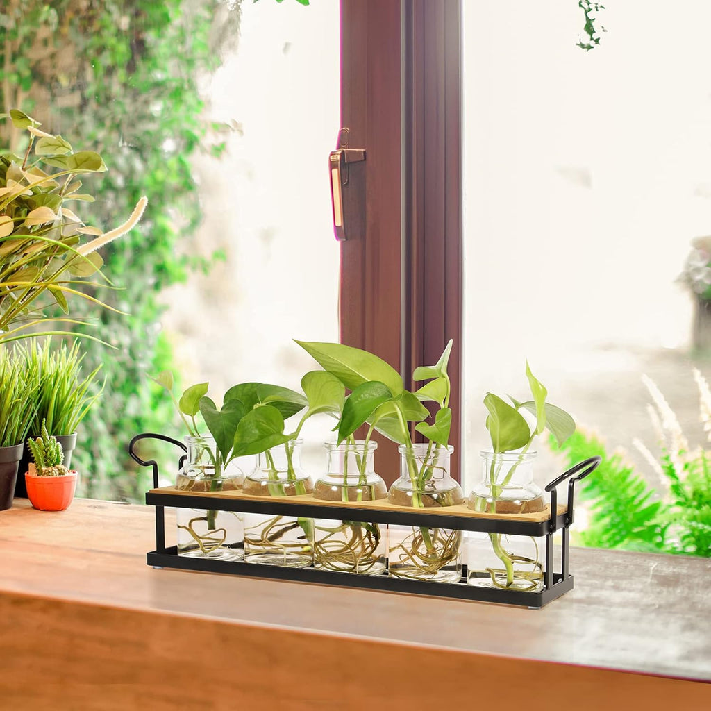 Plant Propagation Stations with Metal Stand, Tabletop Plant Terrarium for Propagating Hydroponic, Retro Glass Planter Flower Vase Home Kitchen Office Decor Gifts, 5 Jars - view 4