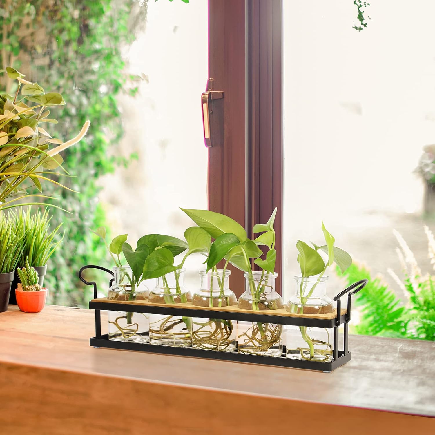 Plant Propagation Stations with Metal Stand, Tabletop Plant Terrarium for Propagating Hydroponic, Retro Glass Planter Flower Vase Home Kitchen Office Decor Gifts, 5 Jars - view 4