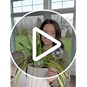 Extra-Thick Glass Plant Watering Globes, Iridescent Hand-Blown, 2 Pack - view 7
