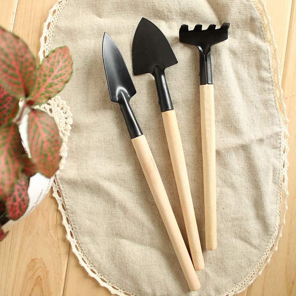 Gardening tool set (6 pcs) spade shovel rake for garden plants care house plants flower pot cactus vegetables kids indoor small plants mini medium plant tool succulent kit - view 7