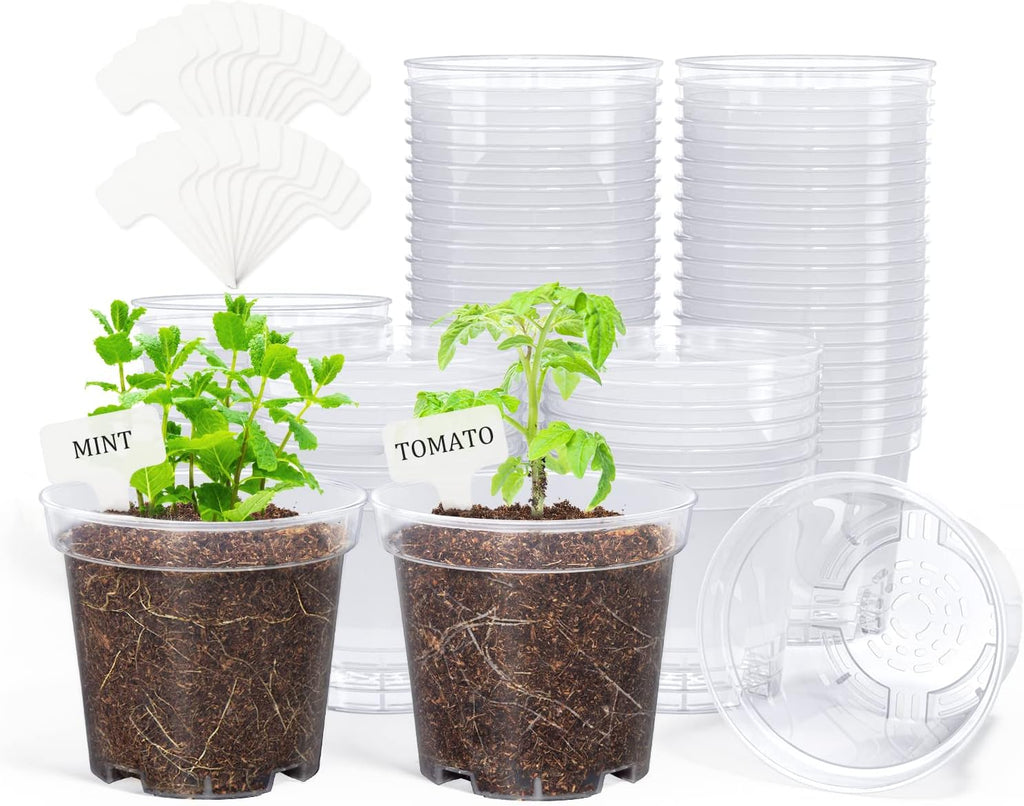 3/4/5 Inch Clear Nursery Pots with Drainage and 20 Labels (30 Pcs) | Transparent PP seedling planters reveal root growth and suit seed starting, cuttings, transplanting, flowers and vegetables. - view 2