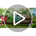 Mushroom Glass Plant Propagation Station with Wooden Stand 5Pcs - view 7