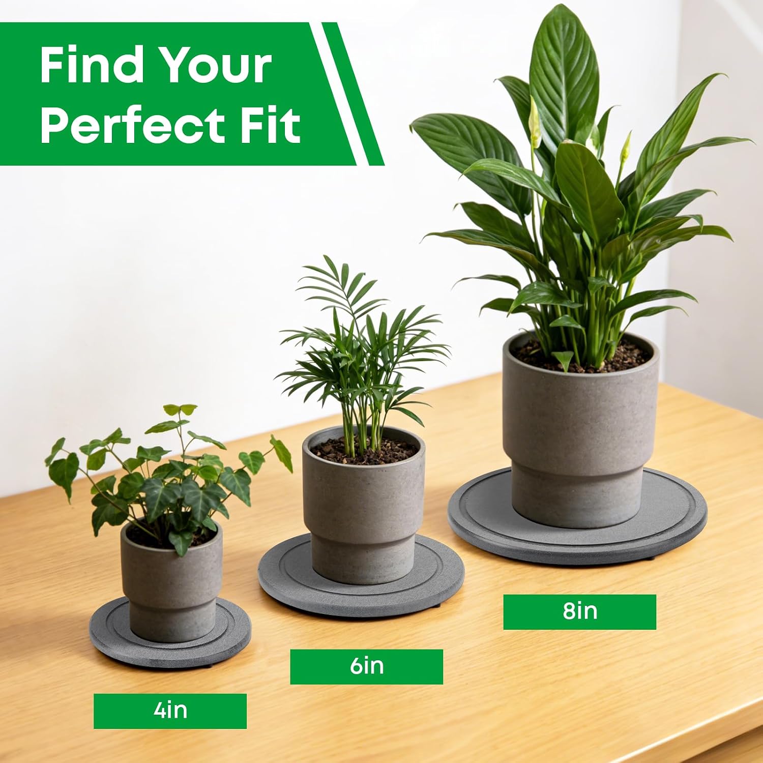 3-Pack Diatomaceous Earth Instant Drying Plant Saucers with Rubber Feet | 4/6/8 Inch, Indoor Pot Trays for Drip & Drainage, Decorative Plant Drainage Tray for Flower and Plant Pot - view 4