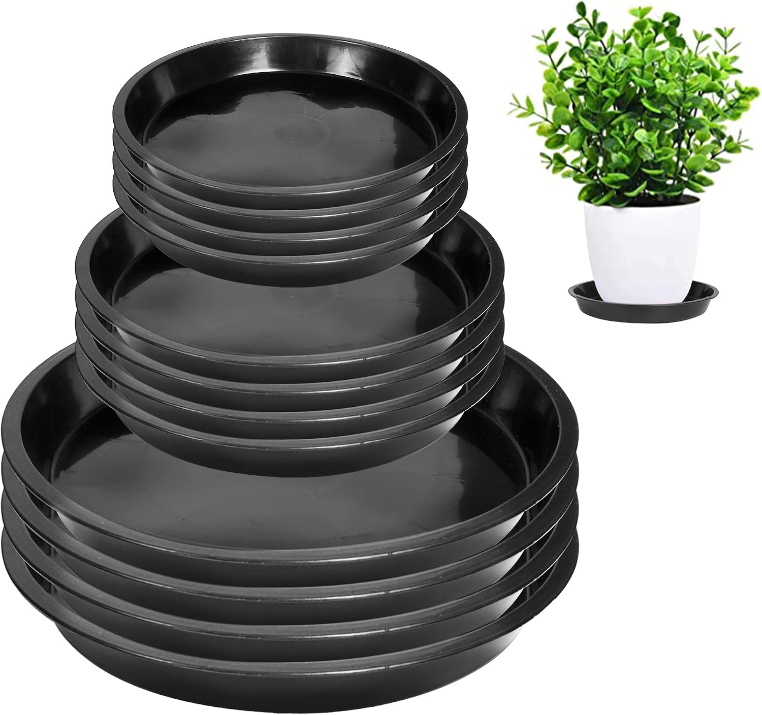 6 8 10 inch plant saucer 12 pack round plant tray plastic plant drip trays | for indoor outdoor garden plants, collects flower pot drainage and excess water