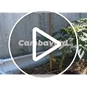 Bamboo Stakes, 4ft Tomato Stakes,25 Pack Bamboo Sticks for Plants - view 7