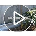 Bamboo Stakes for Plants, 20 Pack Plants Stakes 5 Feet(58in) - view 7