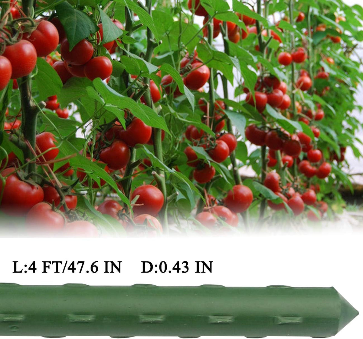 25 PCS 48" Plant Stakes Garden Tomato Sticks for Outdoor Plants | Metal Garden Stakes With Green Weather-Resistant Coating Support Tomato Plants, Vegetable Climbing Plants For Outdoor Gardens - view 3
