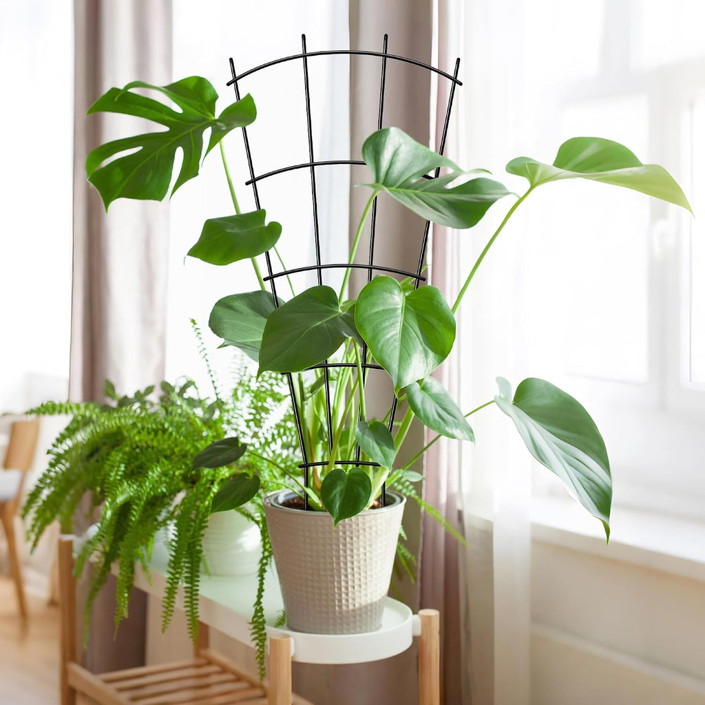 32" Metal Plant Trellis, Climbing Plant Support, 4 Pack (Black) | Rust-resistant coating | Sturdy metal frame | Easy installation | Indoor outdoor use | Roses, vines, flowers & vegetables - view 8