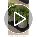 6 Pack Plastic Plant Tray Saucer Rectangular, Heavy Duty Planter Saucers for Indoors, Plant Water Drip Trays for Flower Pot Planter, Windowsill Pot Tray, Seed Starting Growing Trays - view 7