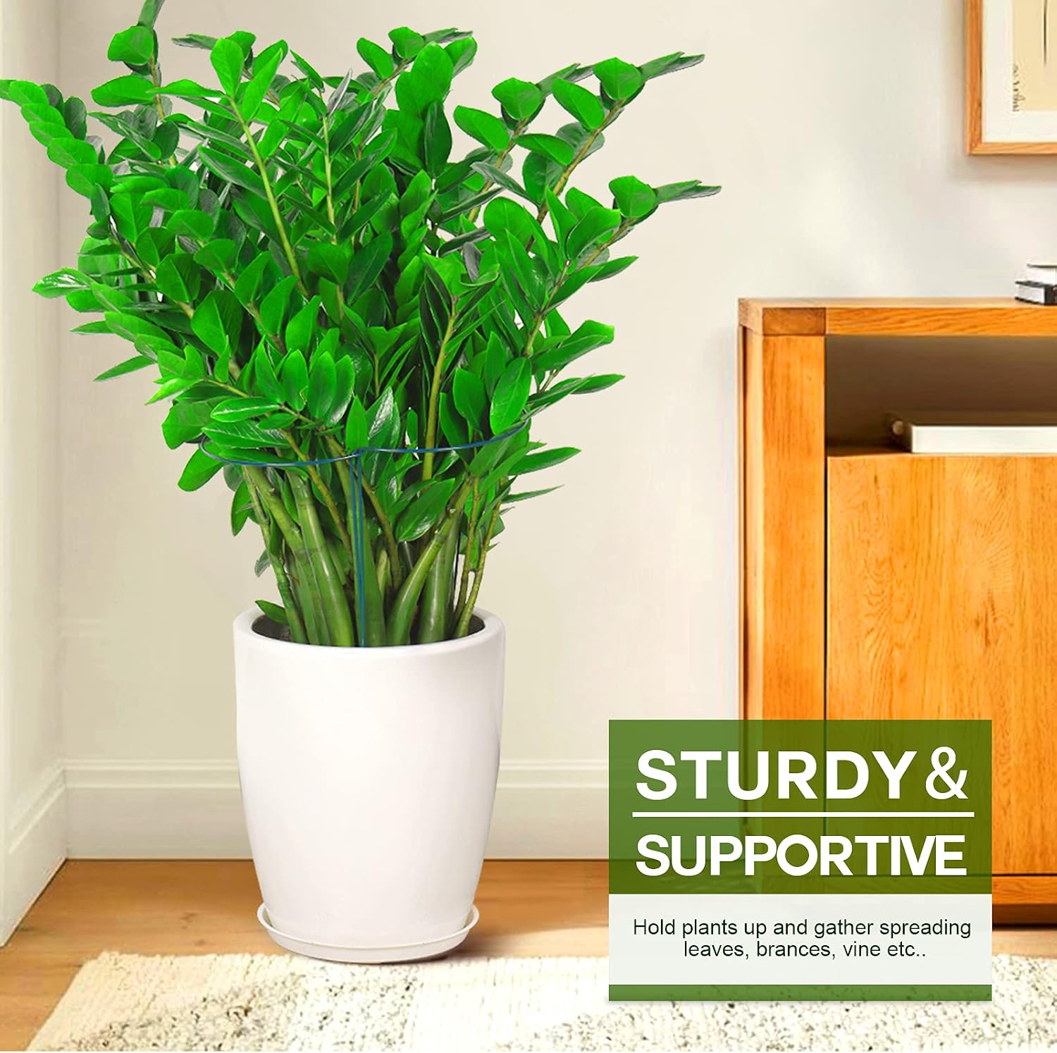 Plant Support Plant Stakes, 6pcs Peony Cages and Supports, Metal Garden Stakes Plant Supports, Plant Support Stakes, for Peony, Tomato, Hydrangea, Indoor Outdoor Plants, 10" W x 15.8" H - view 8