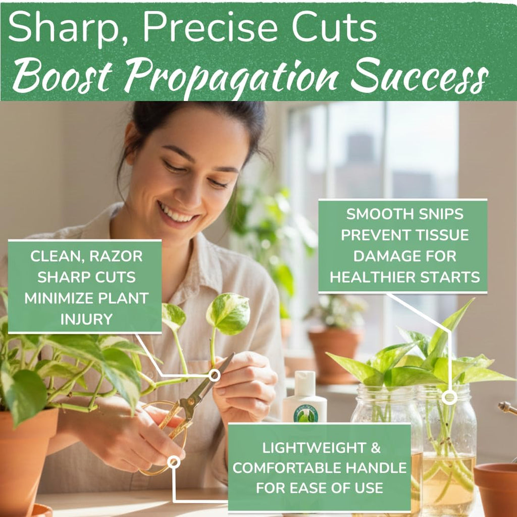 Houseplant pruning shears, stainless steel scissors for trimming & notching - view 5