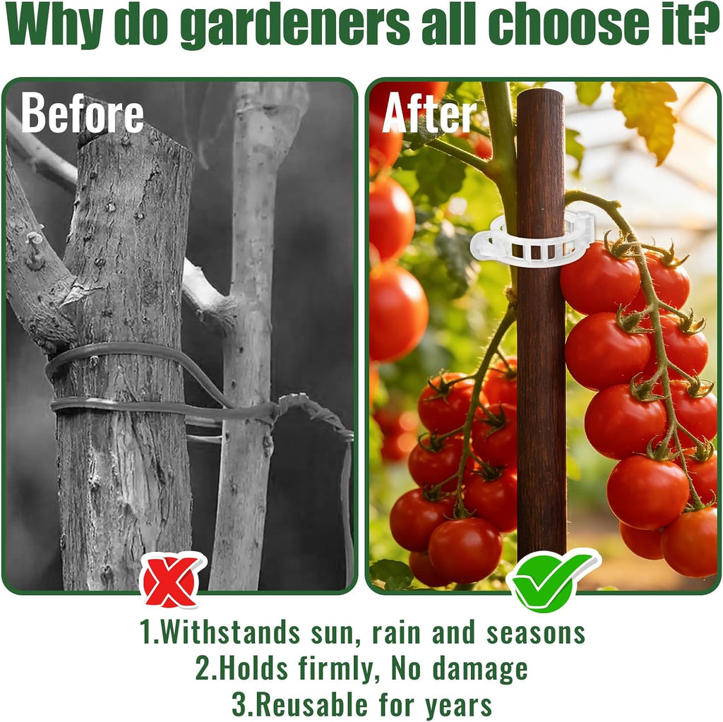 300Pcs Thickened Tomato Clips, Plant Support Clips Plastic Trellis Clips | Plant Clips for Grape Vine, Tomato Vine, Vegetable Plants, to Grow Upright Makes Plants Healthier, White - view 4