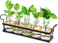 Plant Propagation Station with 5 Glass Jars, Retro Hydroponic Planter Vase
