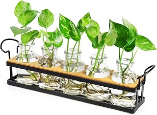 Plant Propagation Station with 5 Glass Jars, Retro Hydroponic Planter Vase