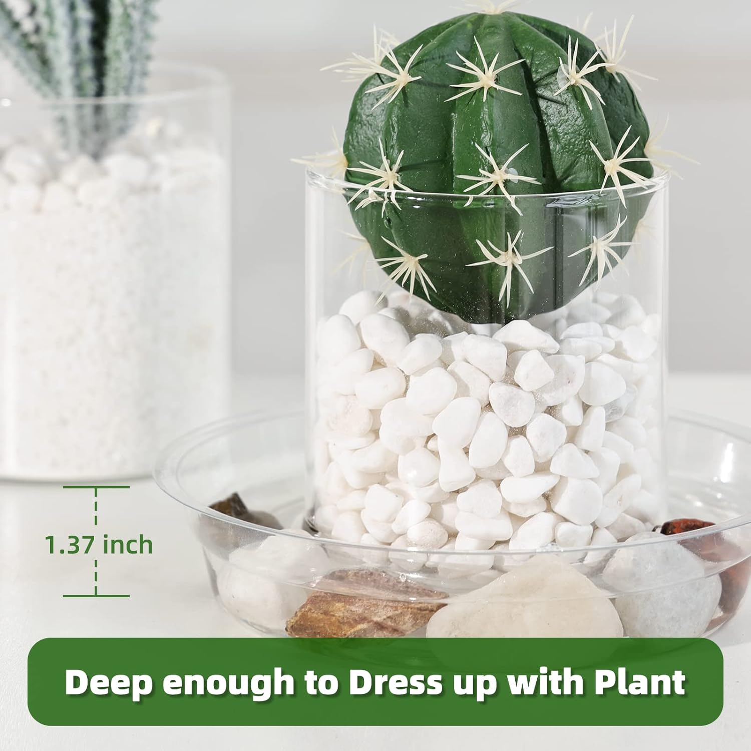 20 Pack Plant Saucers (6 inch / 8inch / 10inch / 12inch) Clear Plant Saucers Flower Pot Tray Excellent for Indoor & Outdoor Plants - view 4