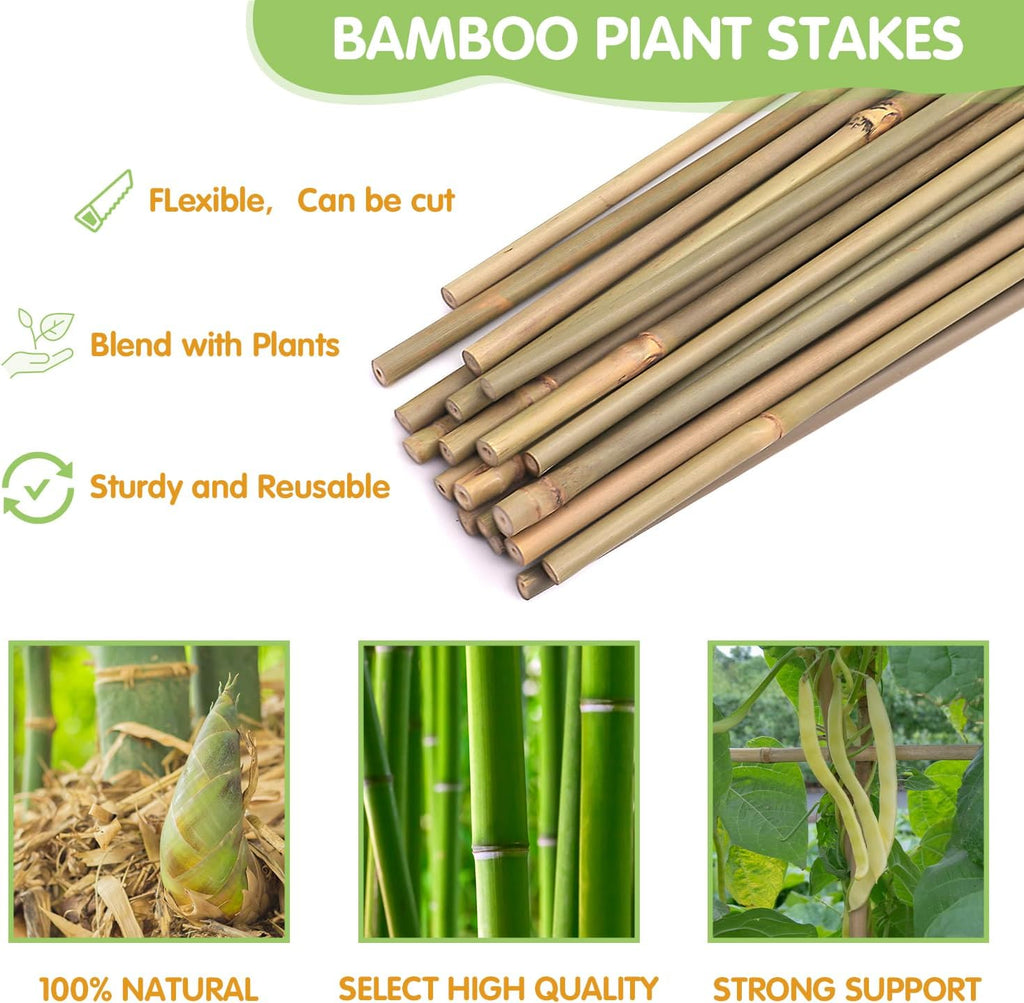 Natural Bamboo Garden Stakes, 4FT Trellis Plant Support 25Pcs | 4FT sturdy longer bamboo sticks for trellis, support tomato, vegetables, beans, trees and climbing plants indoor & outdoor. - view 4