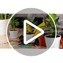 48 Pack Plastic Planters 5.5 Inch Flower Plant Pots Indoor Set Thickened Seedling Nursery Pots Seed Starting Pots with Drainage Holes Saucers Mini Garden Tool for Home Office Garden, White - view 7