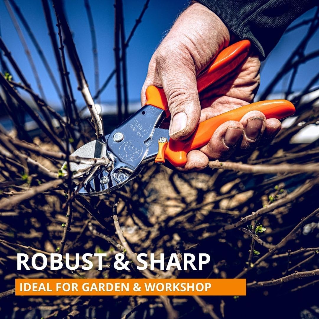 Professional Anvil Pruner Garden Tools 1.104 | Robust & Sharp Hedge Trimmer | Use As Pruners, Garden Shears, Heavy Duty Handheld, Pruning Shears for Gardening | Made in Germany - view 2