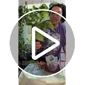 Craft Aroid Potting Mix- Elite Alocasia, Philodendron, Monstera Soil Mix, Chunky, Well Draining Potting Soil for Indoor Plants, All Tropical Plants & Houseplants, Peat Free, 12QT - view 7