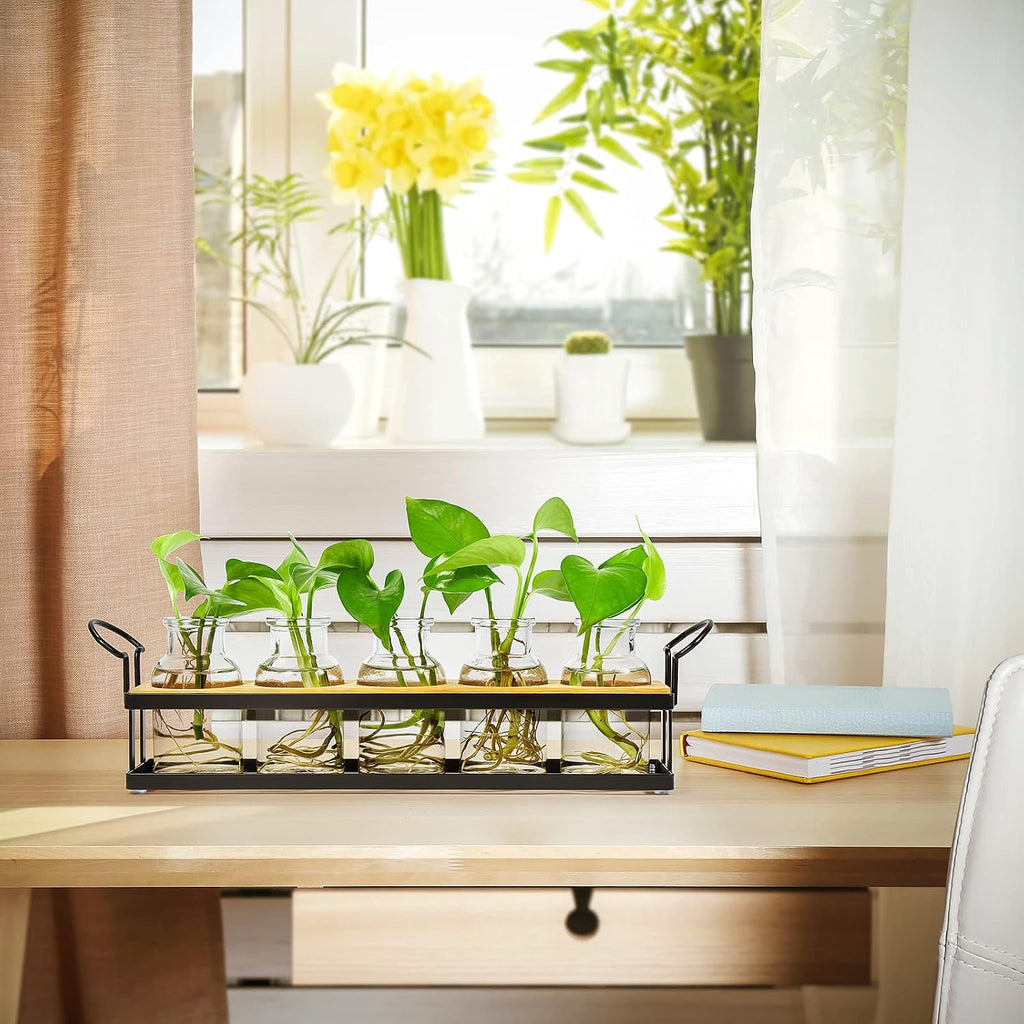 Plant Propagation Stations with Metal Stand, Tabletop Plant Terrarium for Propagating Hydroponic, Retro Glass Planter Flower Vase Home Kitchen Office Decor Gifts, 5 Jars - view 5