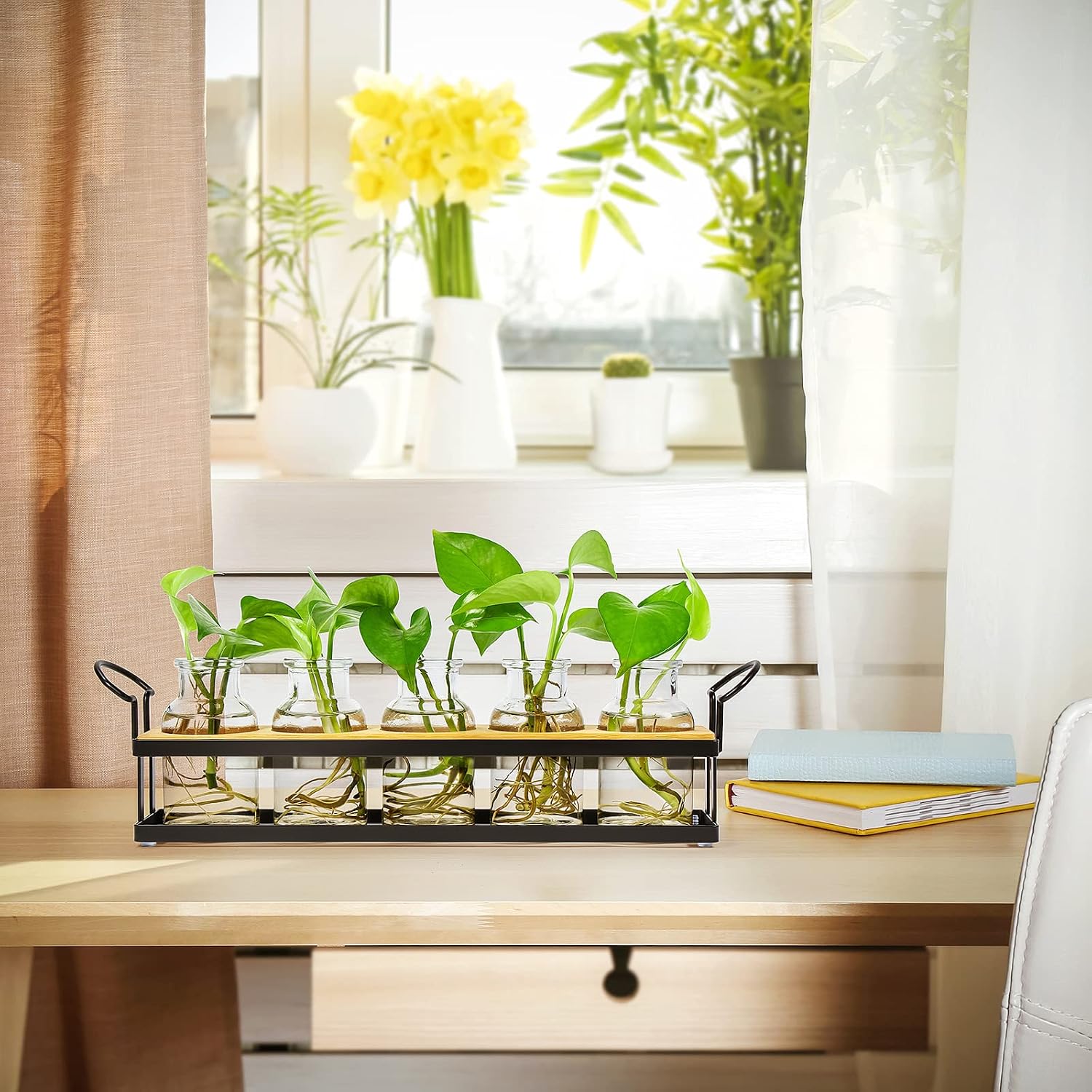 Plant Propagation Stations with Metal Stand, Tabletop Plant Terrarium for Propagating Hydroponic, Retro Glass Planter Flower Vase Home Kitchen Office Decor Gifts, 5 Jars - view 5