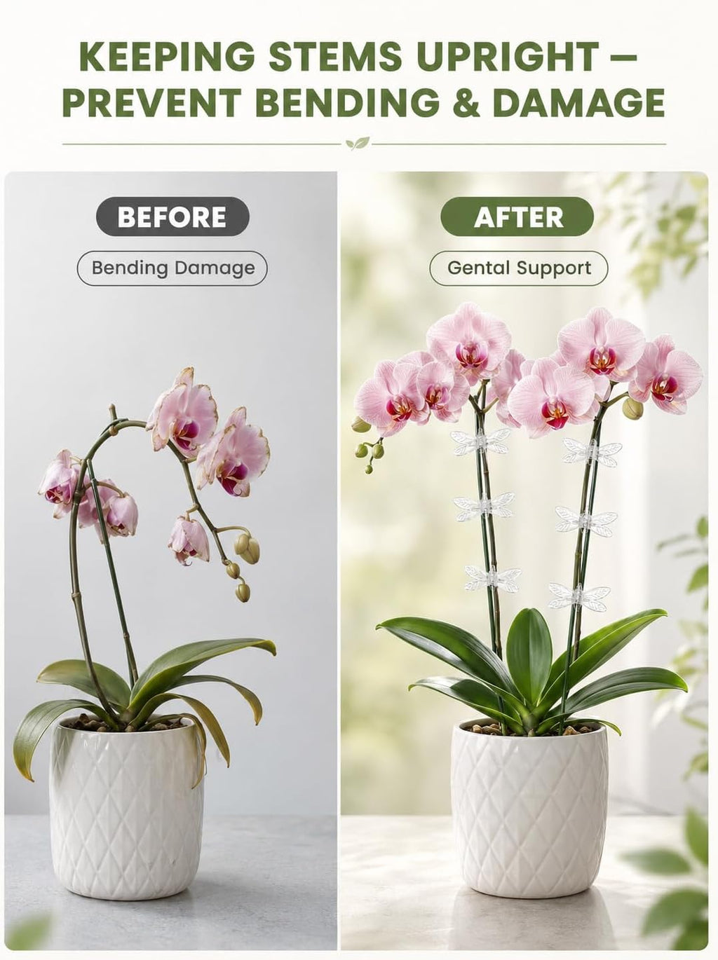 100Pcs Plant Orchid Clips, Garden Plant Support Clip | Dragonfly Orchid Clips, Portable Cute Flower Vine Clips(Transparent) - view 5