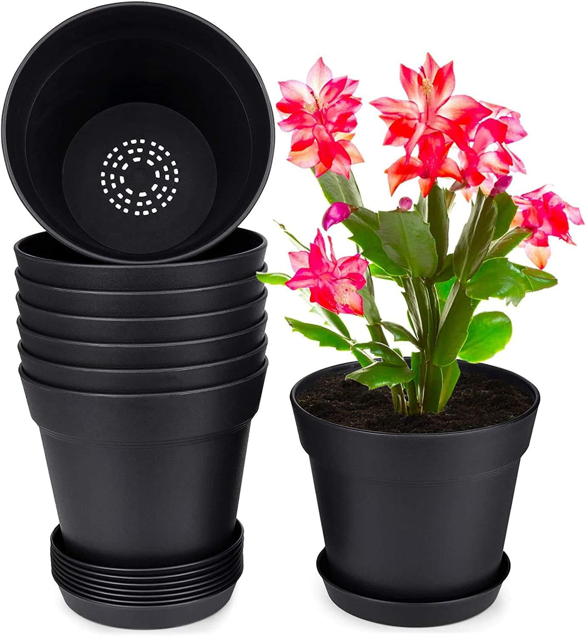 7.5 Inch Plastic Flower Pots with Drainage Holes and Trays (8 Pcs) | Cream white indoor planters suit orchids, snake plants, herbs and succulents for windowsills, balconies, gardens and offices. - view 5