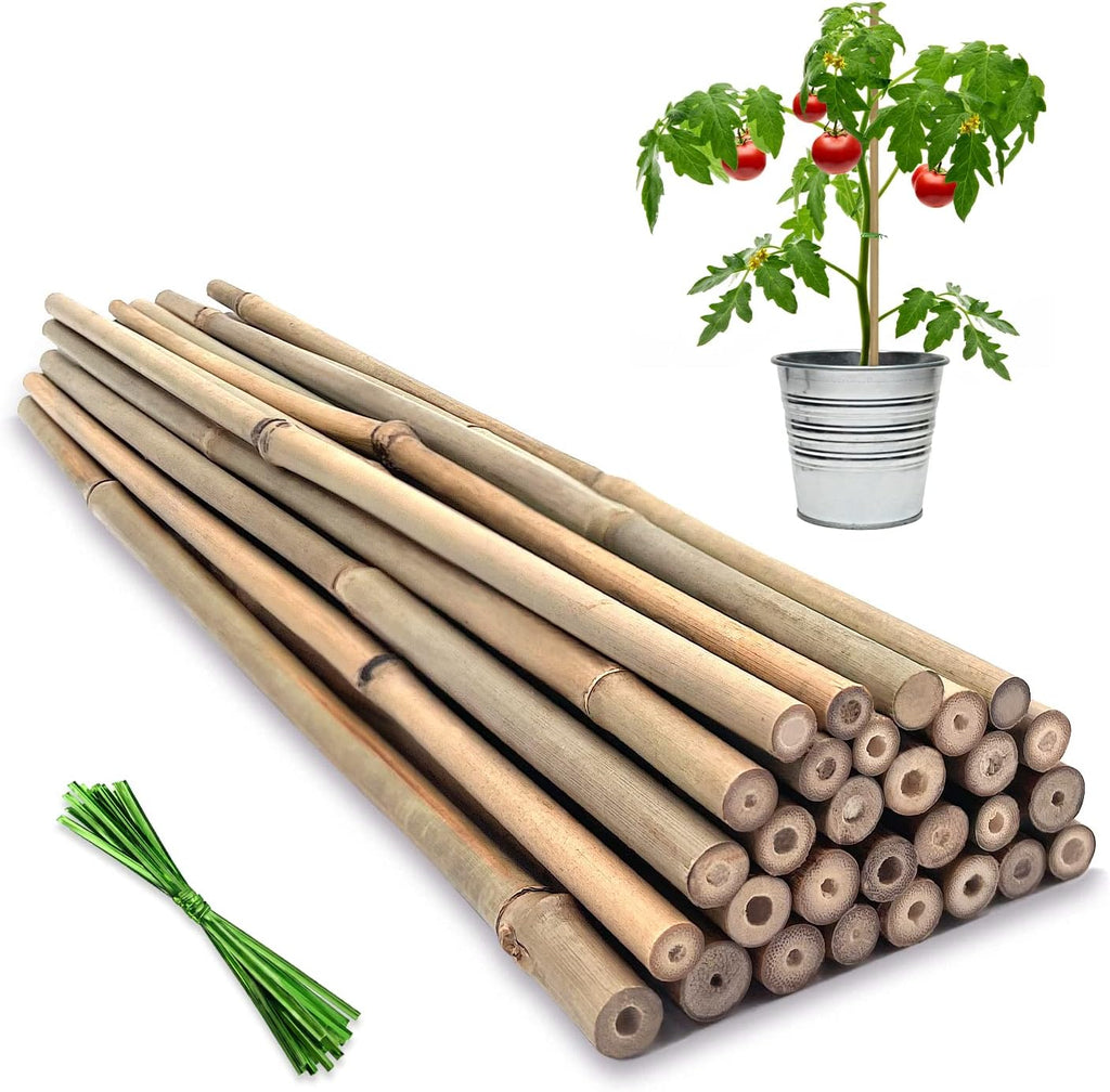 Plant Stakes,18 Inches Natural Garden Bamboo Sticks, 20Pcs Plant Support Stakes for Tomatoes,Beans,Vegetable and Potted Plants | with 20Pcs Green Ties, Bamboo Sticks for Plants,Garden Stakes for Plants,Tomatoes, Beans, Vegetable and Potted Plants